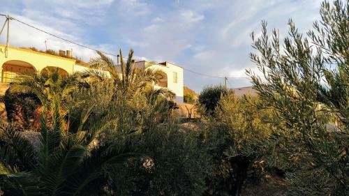 Apartamento Casa Cueva Calatrava