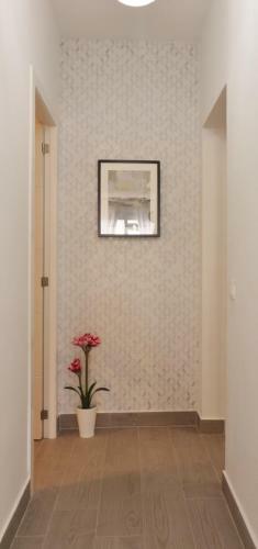 Apartamento Aguere II