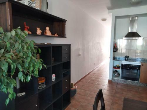 Apartamento Ficus & Acorde�n