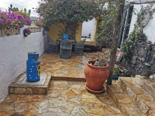 Casa De Gato Rustic Finca