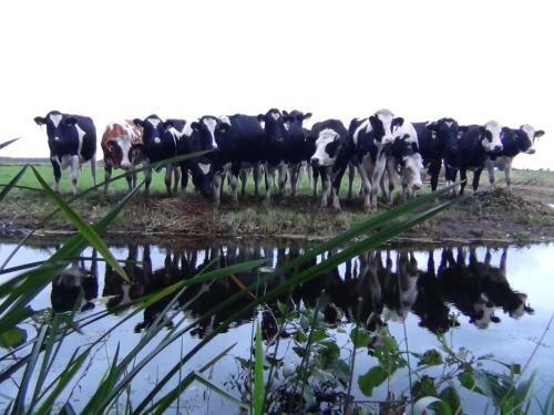 Bed & Breakfast Buitenplaats De Blauwe Meije