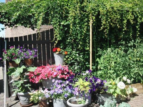 Bed & Breakfast Huize De Weijde Blick