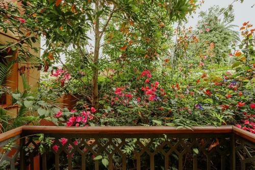 Apartamento Rural House With Garden El Laurel