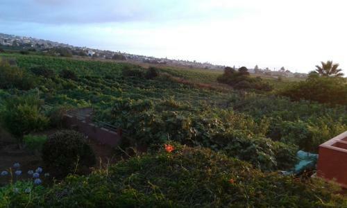 Casa Rural, Espectaculares Vistas Teide Wifi- Bbq