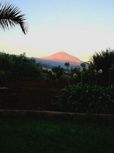 Casa Rural, Espectaculares Vistas Teide Wifi- Bbq