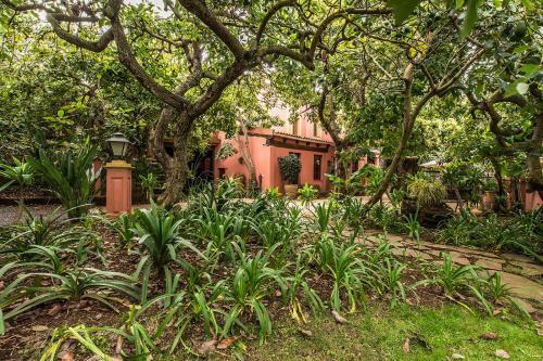 Acogedor Apartamento Rural El Romero