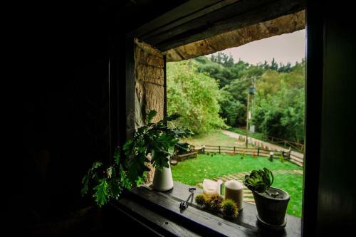 Apartamento Casa Calma Rural