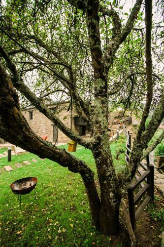 Apartamento Casa Calma Rural