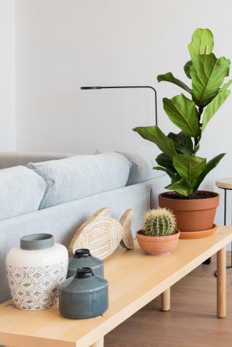 Apartamento Petit Luxe L'�tic