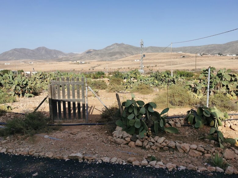 Bed & Breakfast Villa Cecilio