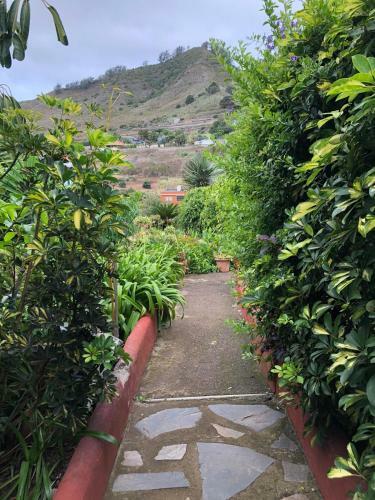 Apartamento Casa Lazaro, Tegueste