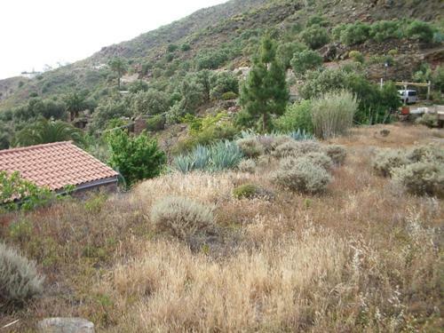 The Pines House In Temisas