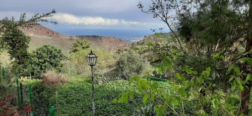 The Pines House In Temisas