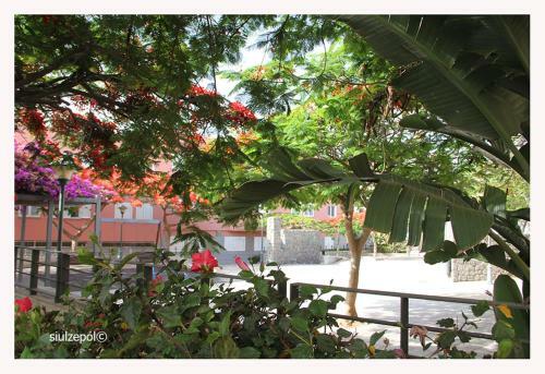 Apartamento Piso Amplio Familiar