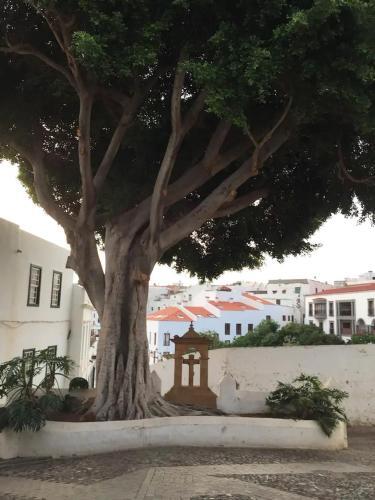 Apartamento Casa R�stica San Francisco 1