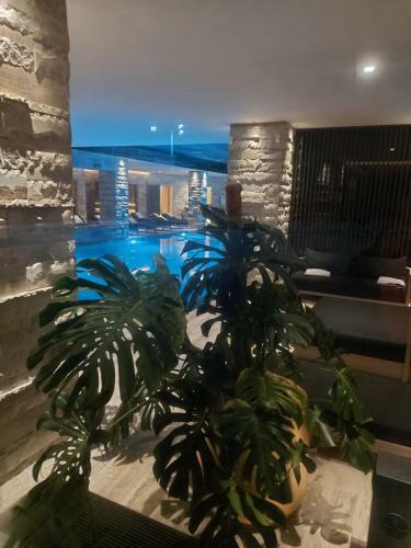 Apartamento ??????????? Greenwood