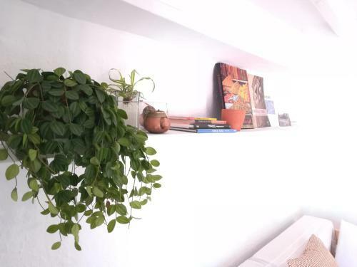 Apartamento Olivia V