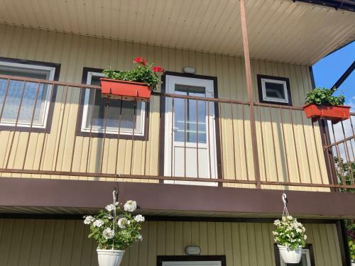 Hostal Nomera U Moria