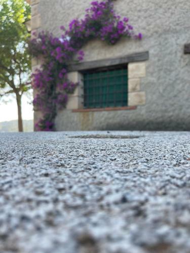 Villa Masia Catalana Sol Senyor