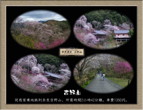 Nakagawa's Cozy House