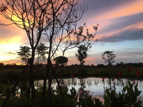 Hotel Chapulin Natural Resort