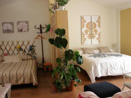 Apartamento Loft El Carmen