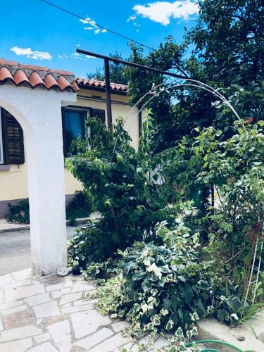 Apartamento Bruno's House
