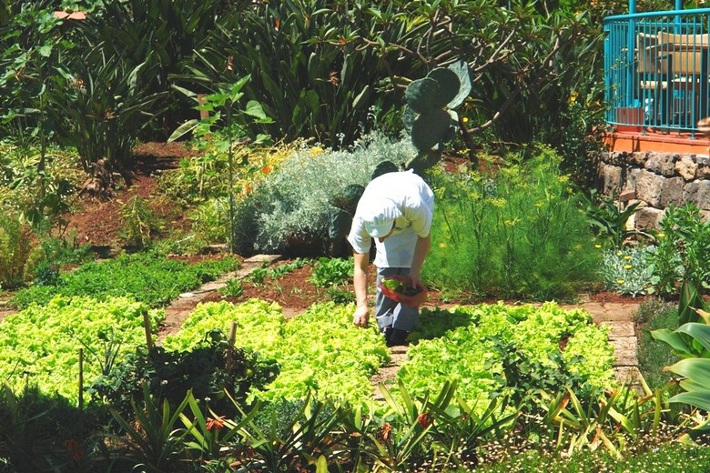 Hotel Quinta Splendida Wellness & Botanical Garden