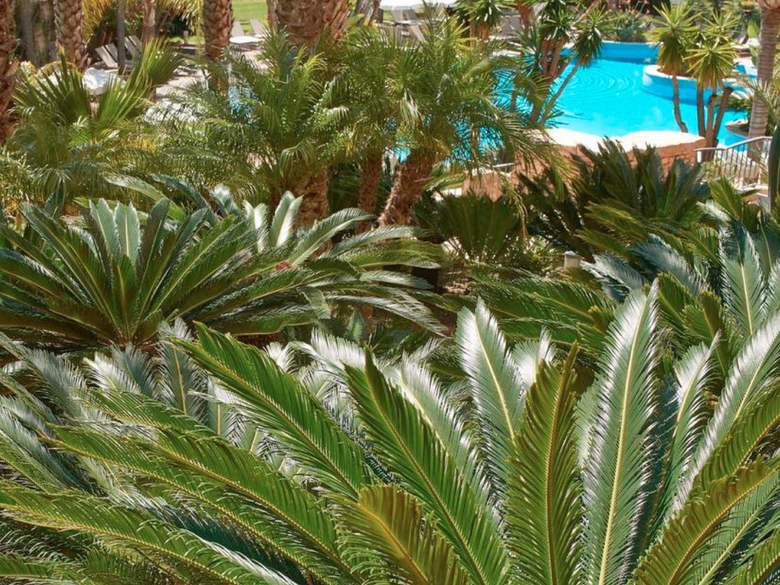 Ria Park Hotel & Spa