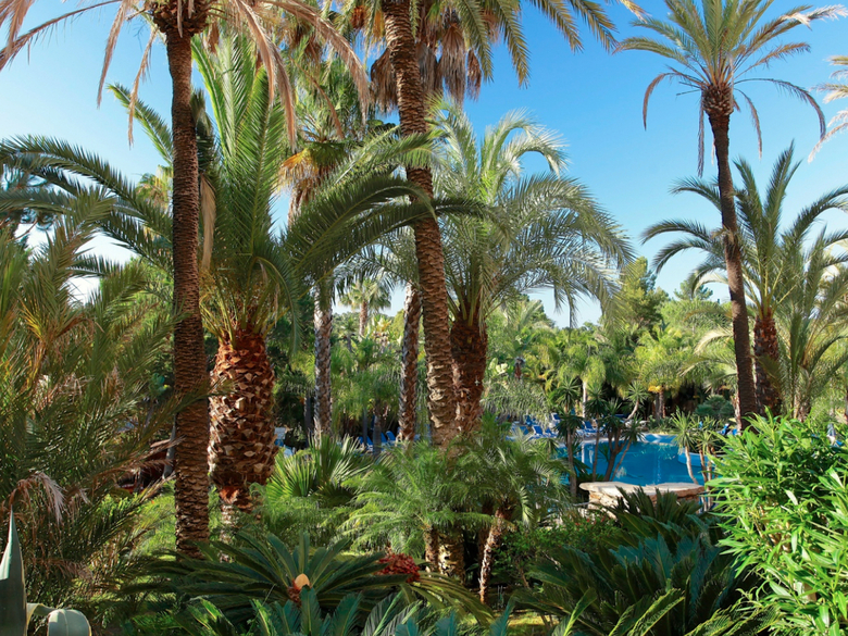 Ria Park Hotel & Spa