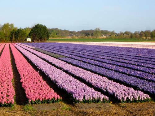 Bed & Breakfast Bij Janzen