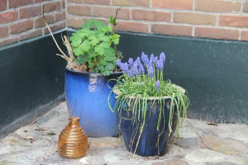 Apartamento B&B In De Backerije