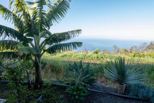 Aparthotel Ferien Haus La Palma