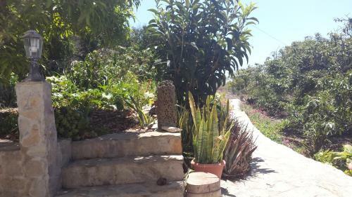 Apartamento Casa Punta Del Sol