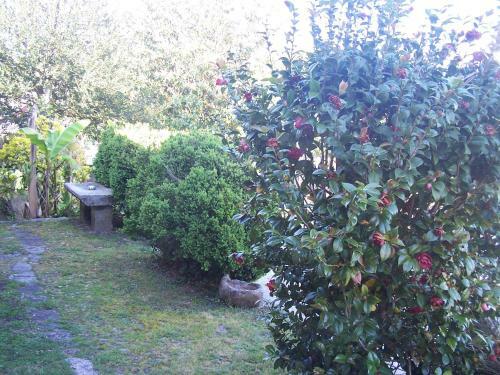 Casa Paredes - R�as Bajas