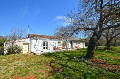 Sun Holiday Home