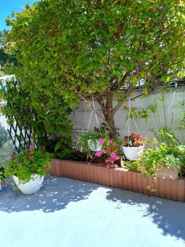 Lusea Apartments