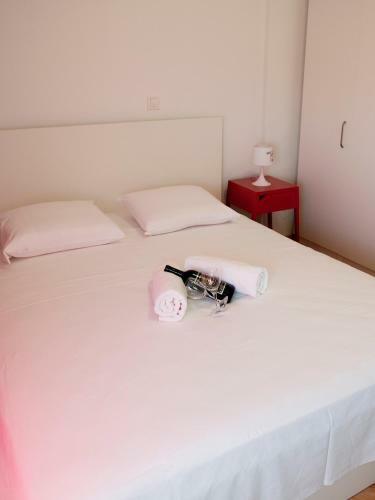 Apartments Zvone