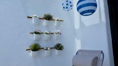 Aqua Apartament