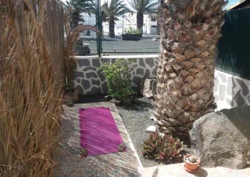 Apartamento Casita Mary