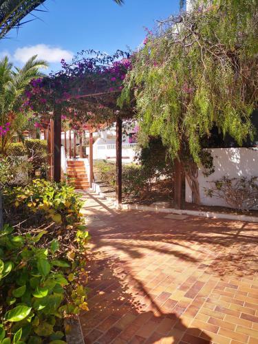 Comfortable Cleo Apartment With Large Terrace