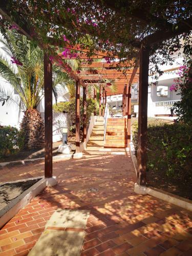 Comfortable Cleo Apartment With Large Terrace