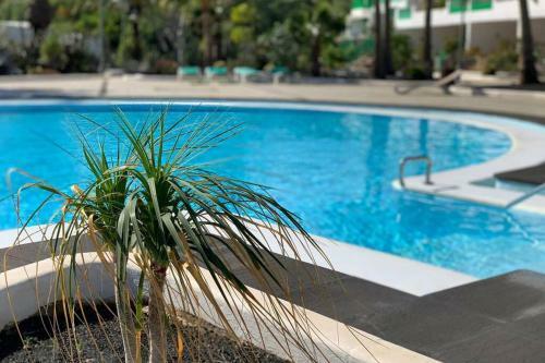 Apartamento Bastian Casas Verdes