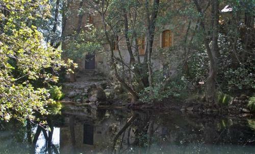 La Torre Del Molino
