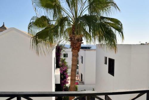 Apartamento Reni