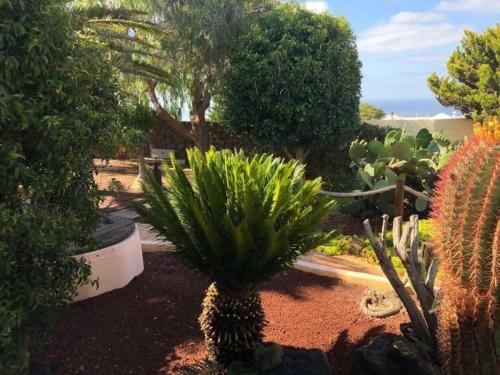 Hostal Secret Chill Villa