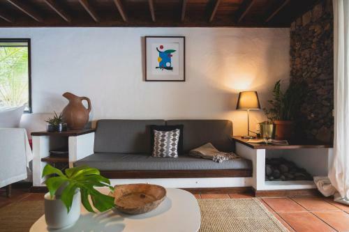Hostal Finca Malvasia Vineyard