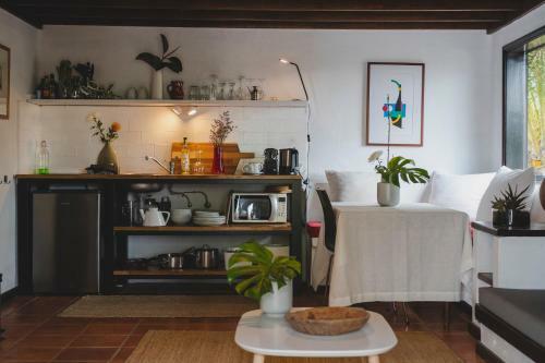 Hostal Finca Malvasia Vineyard