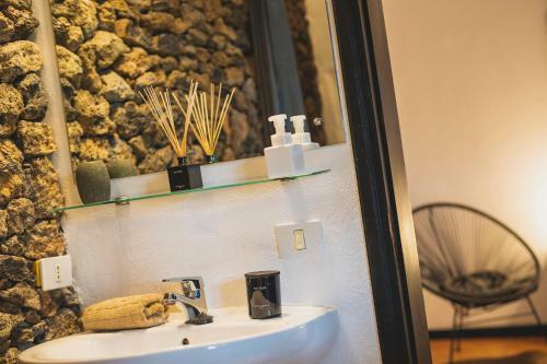 Hostal Finca Malvasia Vineyard