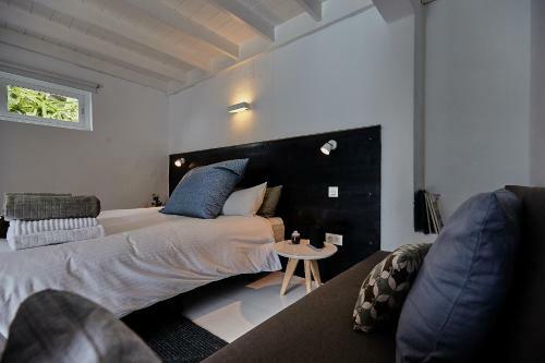 Hostal Finca Malvasia Vineyard